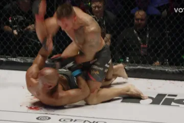 Panda u problemima, ovo je bilo jako krvavo