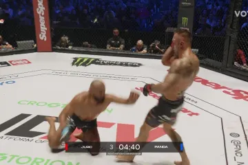 Jurić dokrajčio Pandu monstruoznim udarcima: Borba imala brutalan završetak