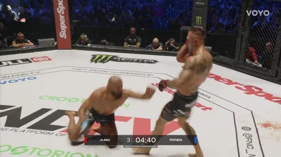 FNC 25: Jurić u 'masakru' prebio Pandu, ugroženu vrstu! Brutalni nokauti na repertoaru