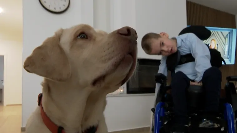 Ovo je pas zbog kojeg je dječak Petar ustao iz kolica i napravio svoje prve korake
