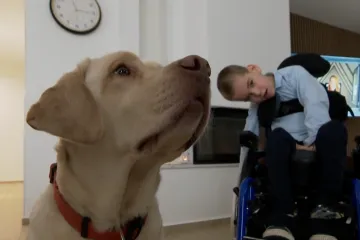 Ovo je pas zbog kojeg je dječak Petar ustao iz kolica i napravio svoje prve korake