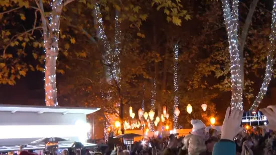 Spektakularan trenutak kada je upaljeno 40.000 adventskih lampica u centru Zagreba