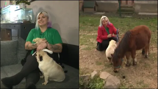 Posjetili smo jednu veliku i neobičnu obitelj: 'Prikriveni terapeuti na tajnom zadatku'