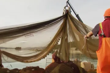 Direkt doznaje: Ministarstvo planira povećati kvote za izlov tune za čak 20%