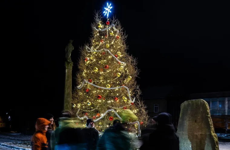 Priča o 'ćelavom' blagdanskom drvcu obilazi svijet: Osiguralo je svoje mjesto u povijesti