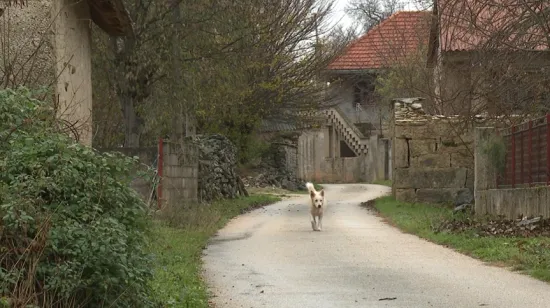Nema trgovine, nema kafića, jedva da ima i ljudi: Ovako danas žive u nekim mjestima u Hrvatskoj