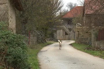 Nema trgovine, nema kafića, jedva da ima i ljudi: Ovako danas žive u nekim mjestima u Hrvatskoj