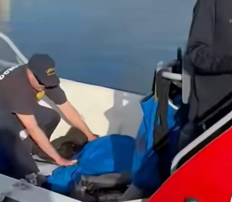 Sretan završetak dramatične potrage: Labradorica pronađena kako pliva oceanom