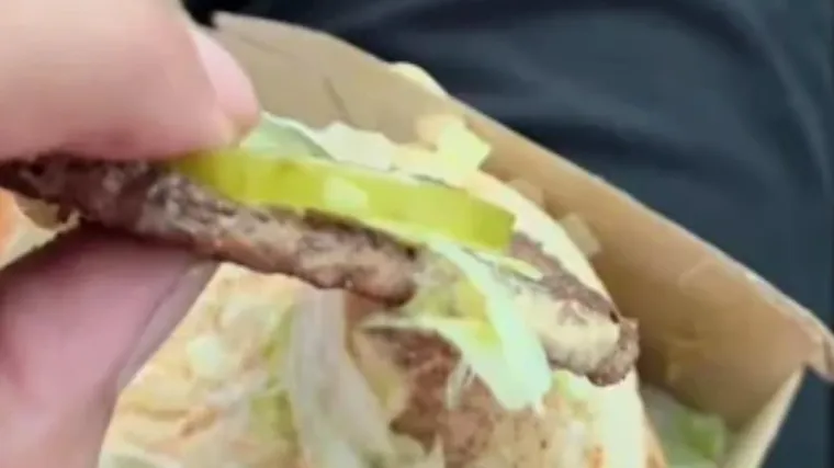 I to zovu burgerom?! Fotka kiselog krastavca debljeg od pljeskavice pokrenula lavinu kritika