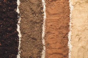 [KVIZ] Koliko znaš o vrstama tla?