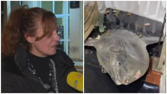 Nije zlatna, ali joj se ispunila želja! Tužno oko ulovljenog gigantskog bucnja sve je reklo