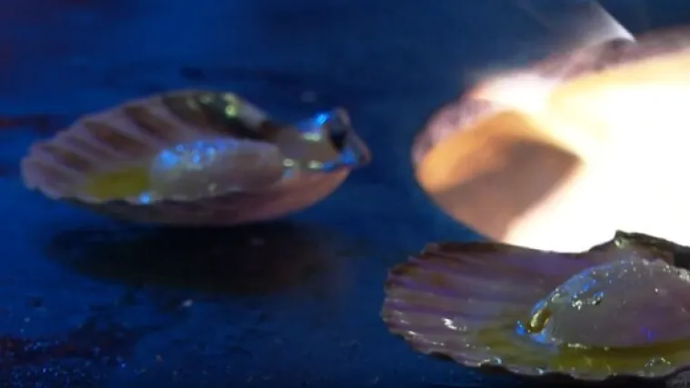 Tko još jede obične kobase? Pa pogledajte samo što se sve nudi na zagrebačkom Adventu