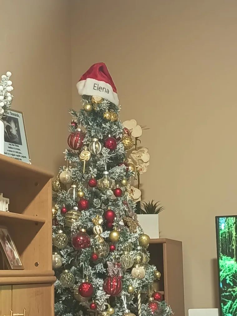 'Oho, ovo je pravo božićno remek-djelo!' Jedna od vaših jelki oduševila je božićni žiri