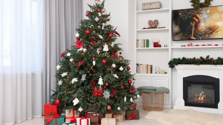 'Oho, ovo je pravo božićno remek-djelo!' Jedna od vaših jelki oduševila je božićni žiri