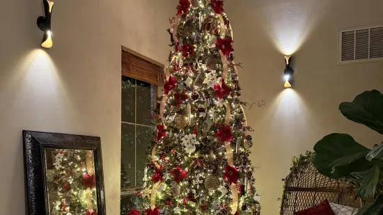 Internet je poludio zbog ove fotografije: Svi traže mačku, no rijetki je uspiju pronaći