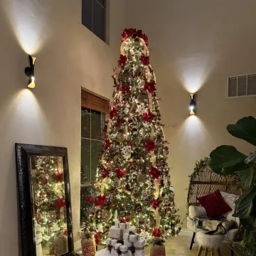 Internet je poludio zbog ove fotografije: Svi traže mačku, no rijetki je uspiju pronaći