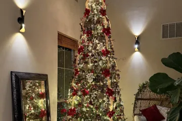 Internet je poludio zbog ove fotografije: Svi traže mačku, no rijetki je uspiju naći