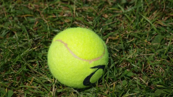 Možda se čini neobičnim, ali ove biste zime u vrt trebali staviti teniske loptice