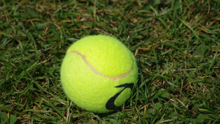 Možda se čini neobičnim, ali ove biste zime u vrt trebali staviti teniske loptice