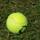 Možda se čini neobičnim, ali ove biste zime u vrt trebali staviti teniske loptice