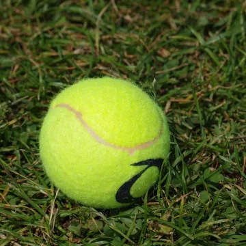 Možda se čini neobičnim, ali ove biste zime u vrt trebali staviti teniske loptice