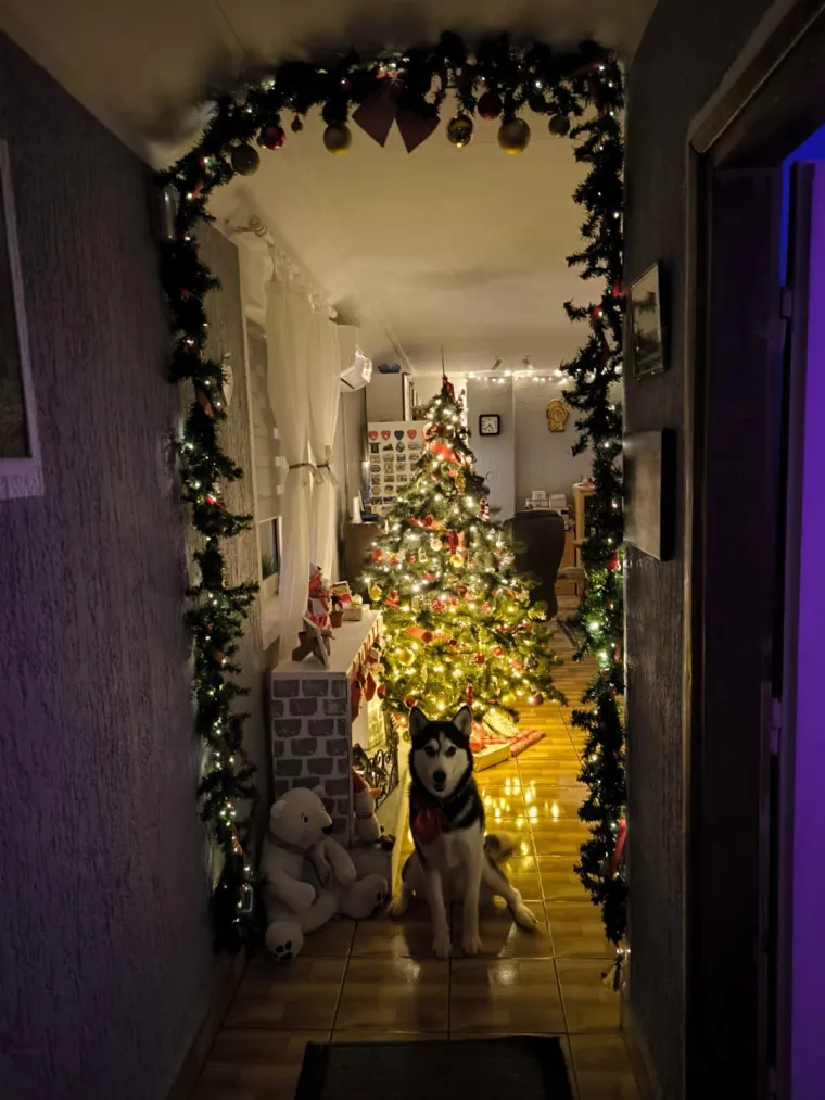 'Ah, ovo je pravo 'božićno srce''. Veseli žiri su ovaj put oduševili vaši detalji ispod jelki
