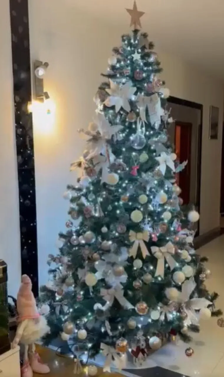 'Ah, ovo je pravo 'božićno srce''. Veseli žiri su ovaj put oduševili vaši detalji ispod jelki