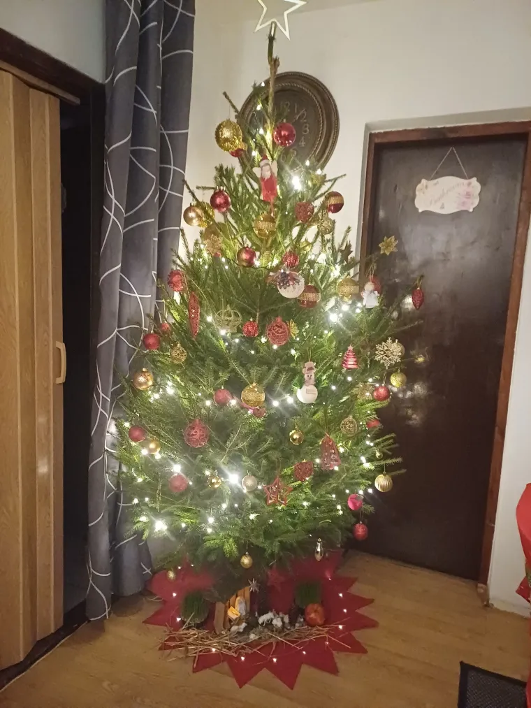 'Ah, ovo je pravo 'božićno srce''. Veseli žiri su ovaj put oduševili vaši detalji ispod jelki