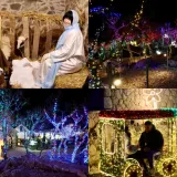 Pogledajte bajkovite prizore Božićnog sela: Osvijetljeno je s čak 4,5 milijuna lampica