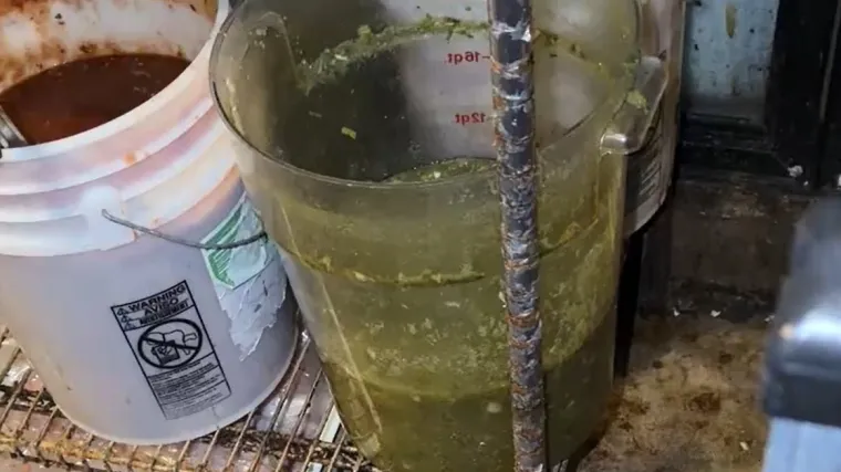 Ušuljala se u skladište restorana i snimila neizrecive grozote, sve to ide gostima na stol