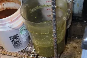 Ušuljala se u skladište restorana i snimila neizrecive grozote, sve to ide gostima na stol