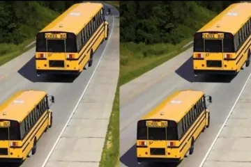 Internet u šoku zbog optičke iluzije: Ovi autobusi su iste veličine, evo kako je to moguće