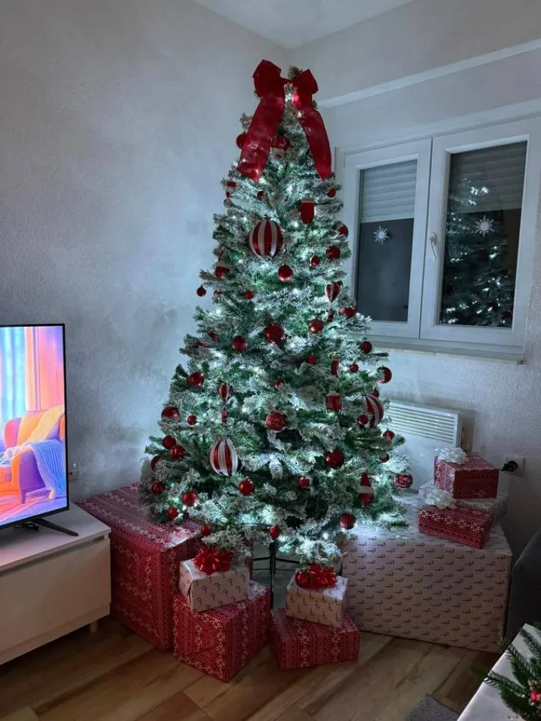 'Wooow, kao da sam ušao u dvije božićne galaksije!' Imamo još jednu jelku u utrci za nagradu