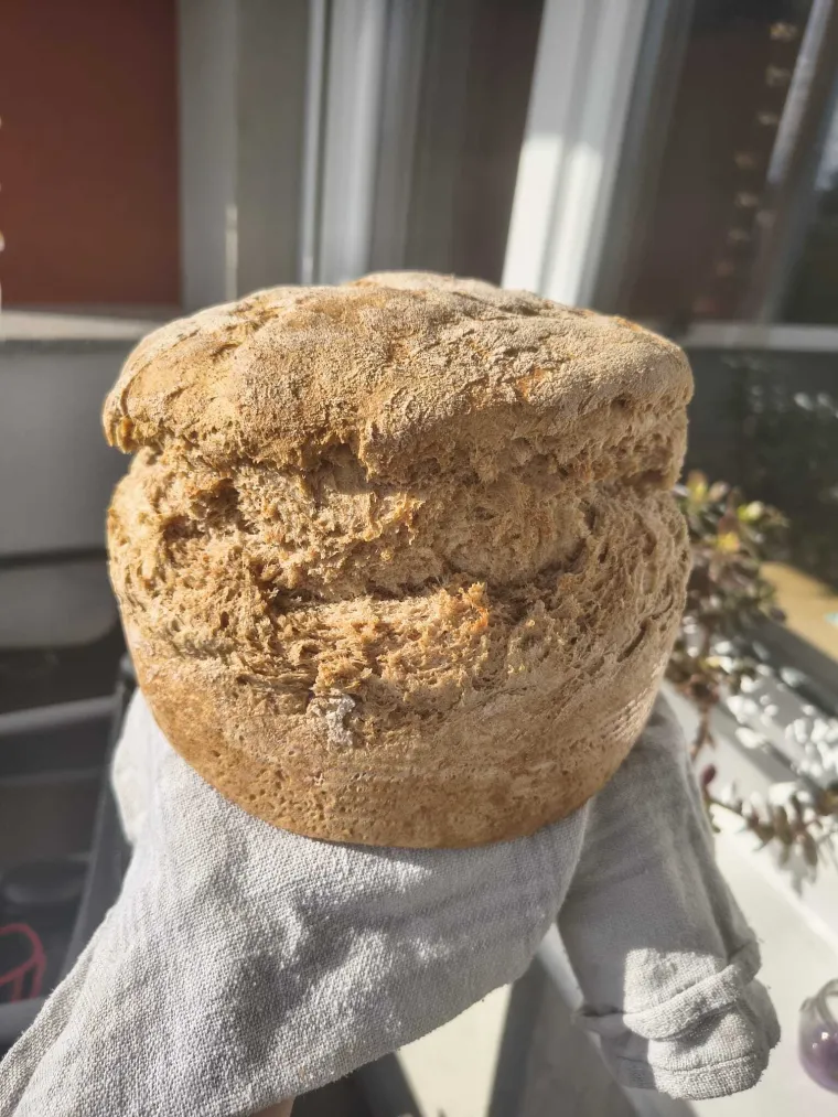 Kako ispeći savršeni kruh? Pšenični, crni, heljdin, sa sjemenkama iz ladice recepata naših starih!