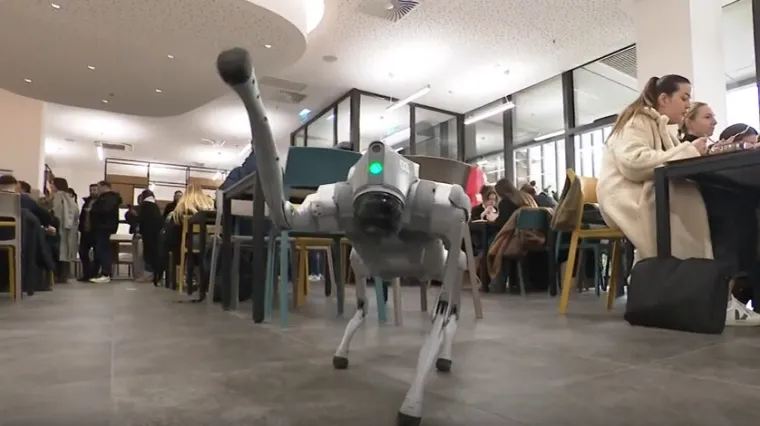 Studenti Hrvatskog katoličkog sveučilišta ne moraju više do pekarnice: U menzi im tacne nose roboti