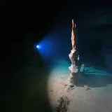 U dubinama pronađeno čudesno blago: Ronioci zanijemili kada su ugledali što se tamo krije