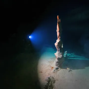 U dubinama pronađeno čudesno blago: Ronioci zanijemili kada su ugledali &scaron;to se tamo krije