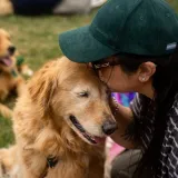 Nevjerojatno! Više od 1.800 zlatnih retrivera srušilo rekord i osvojilo srca diljem svijeta