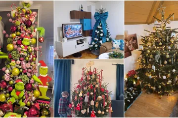 Blagdanska magija! Donosimo 40 vaših jelki koje su očarale redakciju