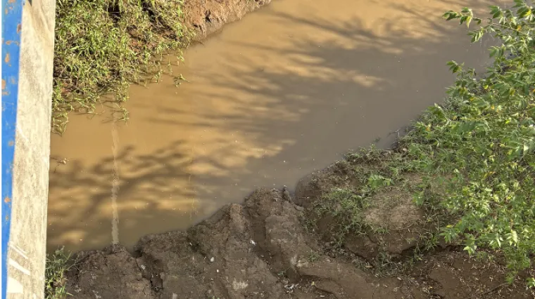 Internet raspamećen: Čak 99% ljudi nije uspjelo naći drugog krokodila, razlog je genijalan