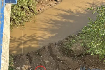 Internet raspamećen: Čak 99% ljudi nije uspjelo naći drugog krokodila, razlog je genijalan