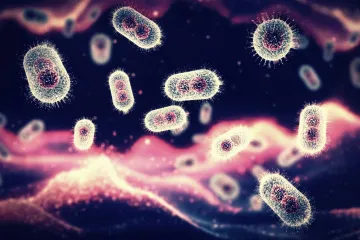 Otkriven hibridni soj opasnog virusa, stručnjaci su zabrinuti: 'Upravo toga smo se bojali'