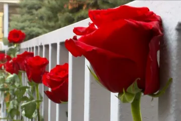 Skandal na trgu pokrenuo lavinu: Građani masovno potpisuju protiv molitelja!