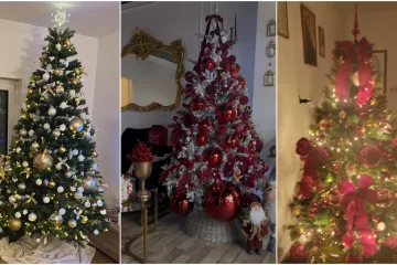 Jedna ljep&scaron;a od druge: Utrka se zahuktava, ovo su va&scaron;e čarobne božićne jelke