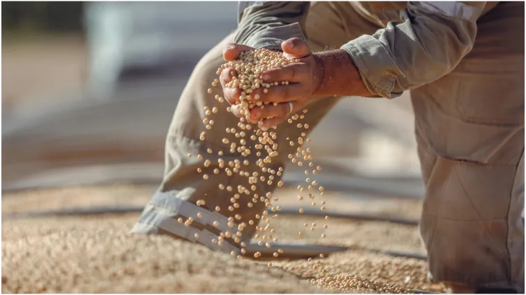 Skrivena opasnost u hrani: Jedna vrsta ulja može potaknuti gomilanje kilograma