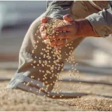 Skrivena opasnost u hrani: Jedna vrsta ulja može potaknuti gomilanje kilograma