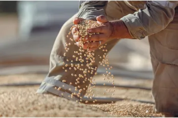Skrivena opasnost u hrani: Jedna vrsta ulja može potaknuti gomilanje kilograma