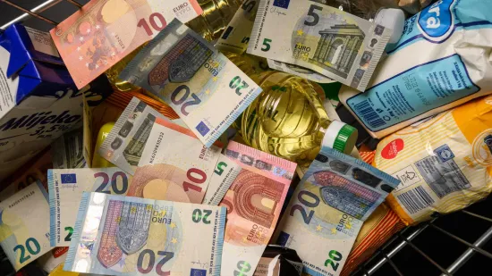 Je li vam trenutačna plaća dovoljna za troškove božićnih blagdana?