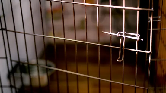 Muža zatočila i tukla: Jedva pobjegao iz psećeg kaveza, bos i ozlijeđen. Isplivale mučne snimke