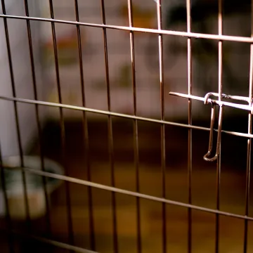 Muža zatočila i tukla: Jedva pobjegao iz psećeg kaveza, bos i ozlijeđen. Isplivale mučne snimke